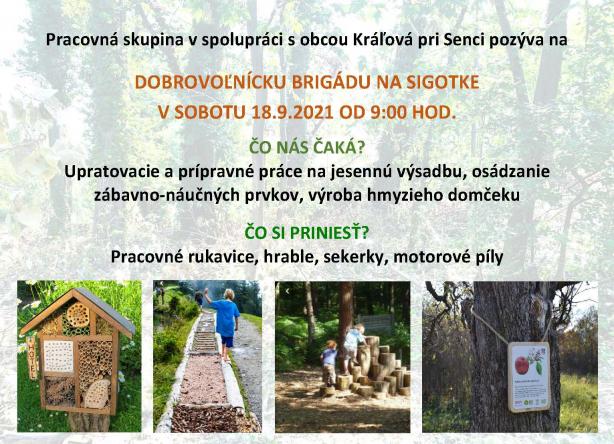 Brigáda